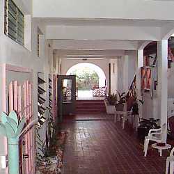 Our shady courtyard