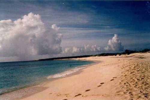 [Click to enlarge beach on Scrub Island]