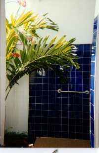 Click to enlarge my incredible shower!