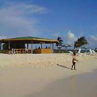 Sandy Island BBQ